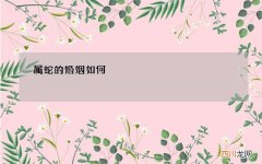 属蛇的婚姻如何，属蛇几月出生大富大贵
