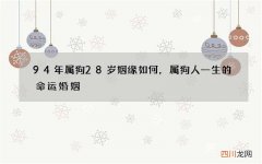 94年属狗28岁姻缘如何，属狗人一生的命运婚姻