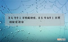 85牛91羊婚配绝佳，85牛女91羊男相配是绝命