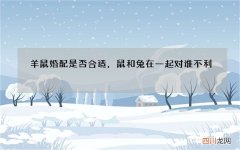 羊鼠婚配是否合适，鼠和兔在一起对谁不利