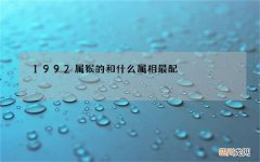 1992属猴的和什么属相最配，92年属猴女的更佳配偶