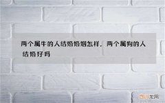 两个属牛的人结婚婚姻怎样，两个属狗的人结婚好吗
