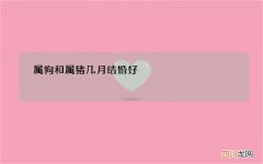 属狗和属猪几月结婚好，1994年属狗哪年结婚好