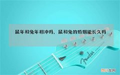 鼠年和兔年相冲吗，鼠和兔的婚姻能长久吗