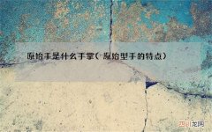 原始型手的特点 原始手是什么手掌