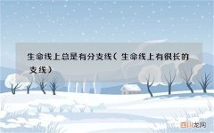 生命线上有很长的支线 生命线上总是有分支线