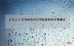 2022公司起名字 公司怎样取名字易通过