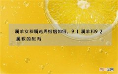 属羊女和属鸡男婚姻如何，91属羊和92属猴的配吗