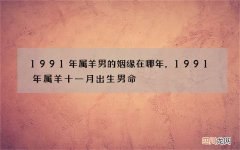 1991年属羊男的姻缘在哪年，1991年属羊十一月出生男命