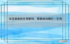 非常恩爱的生肖配对，恩爱的动物打一生肖