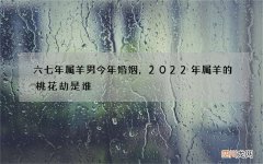 六七年属羊男今年婚姻，2022 年属羊的桃花劫是谁