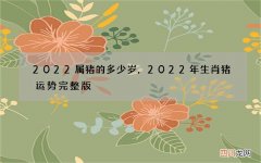 2022属猪的多少岁，2022年生肖猪运势完整版