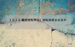 姓阮的虎宝宝名字 2022属虎姓阮男孩
