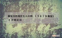 属兔的婚姻是怎么样啊，1987年属兔34岁桃花劫