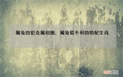 属兔的犯克属相图，属兔最不利的婚配生肖