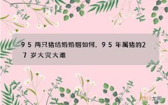 95两只猪结婚婚姻如何，95年属猪的27岁大灾大难
