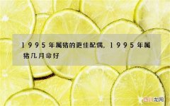 1995年属猪的更佳配偶，1995年属猪几月命好