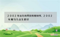 2002年出生的男孩婚姻如何，2002年属马几点生更好