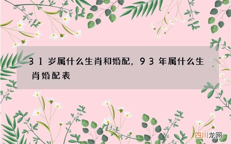 31岁属什么生肖和婚配，93年属什么生肖婚配表