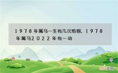 1978年属马一生有几次婚姻，1978年属马2022 年有一劫