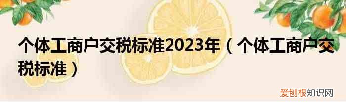 个体工商户交税标准 个体工商户交税标准2023年