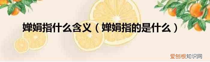 婵娟指的是什么 婵娟指什么含义