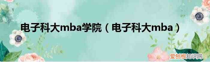电子科大mba 电子科大mba学院