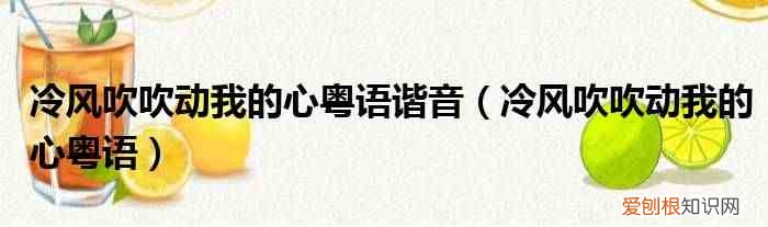 冷风吹吹动我的心粤语 冷风吹吹动我的心粤语谐音