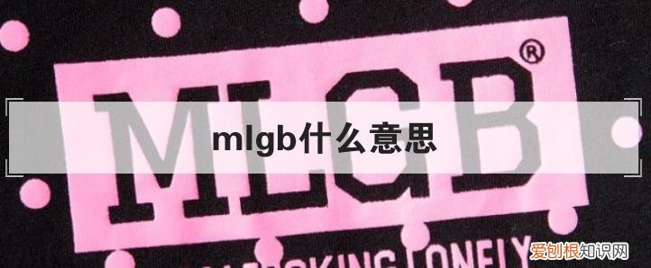 mlgb什么意思