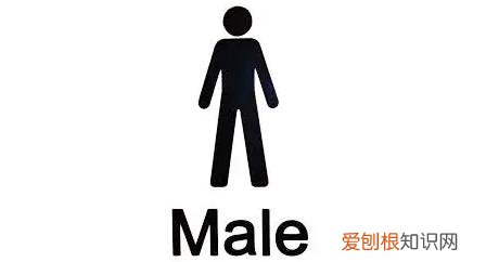 male是什么意思