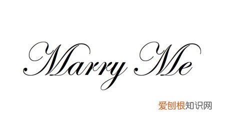 marry me什么意思中文