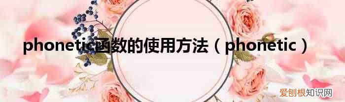 phonetic phonetic函数的使用方法