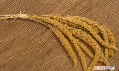 稻梁菽的菽是指