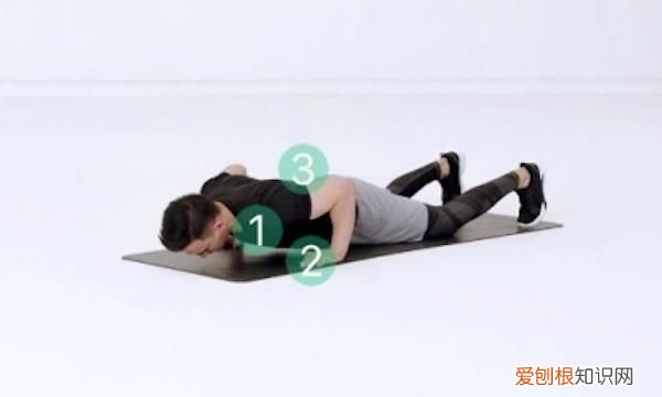 俯卧撑的正确做法是什么，俯卧撑的正确做法初中女