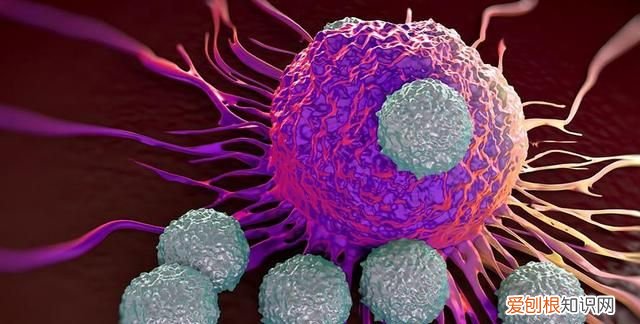 关于癌症的8个问题,关于癌症的四个真相需了解