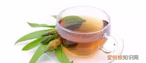 治疗痛风的中药泡茶喝