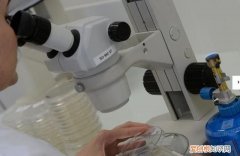 细胞培养技术员危险不，细胞培养实验员的发展前景