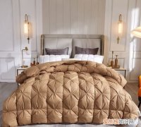 羽绒被能在太阳底下晒吗，11月份羽绒被可以放太阳下暴晒