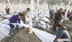 防冻措施有哪些