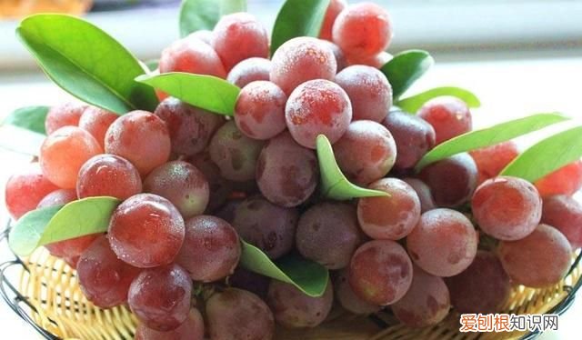 红提上火还是降火,红提吃多了上火吗