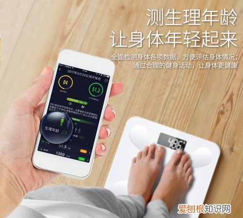 体脂秤可以称体重吗，体脂秤和体重秤哪个划算