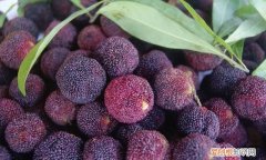 有虫的杨梅怎么洗才能吃，杨梅怎么洗才吃不到虫子