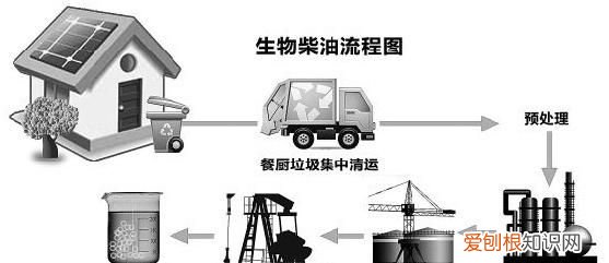 地沟油现象泛滥吗 地沟油到底都用到哪儿去了