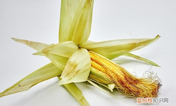 玉米对胃有好处还是坏处 玉米是发物吗对胃好吗