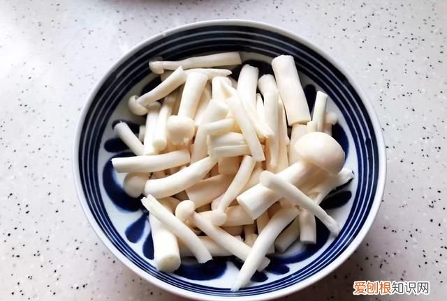 青椒和白玉菇能一块炒吗 白玉菇能和笋在一起炒吗