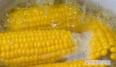 南瓜和玉米哪个容易熟，网购玉米为什么是半熟的