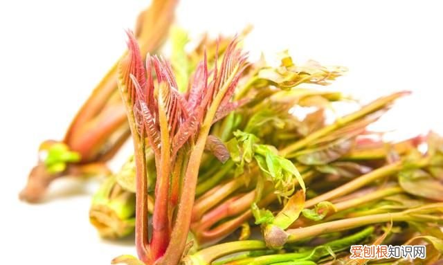 明天谷雨吃哪六种食物最好,今日谷雨吃什么最好