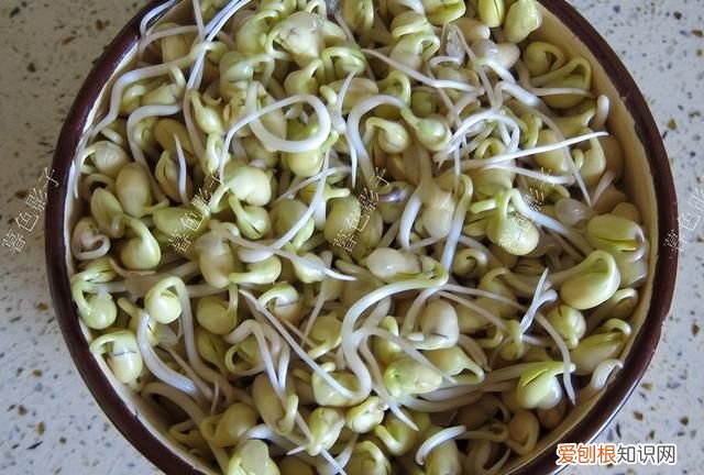 明天谷雨吃哪六种食物最好,今日谷雨吃什么最好