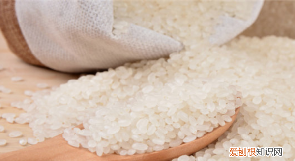 大米过期一年了还能吃,大米过期一年没开封还能吃吗