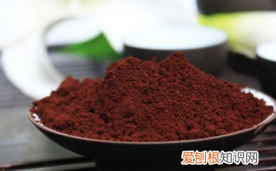 6种人不宜吃灵芝,灵芝和灵芝孢子粉有什么区别